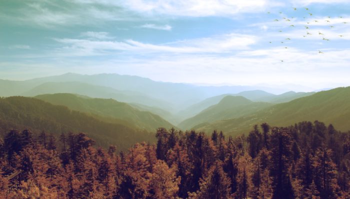 View from a mountain showing a valley and soaring birds.